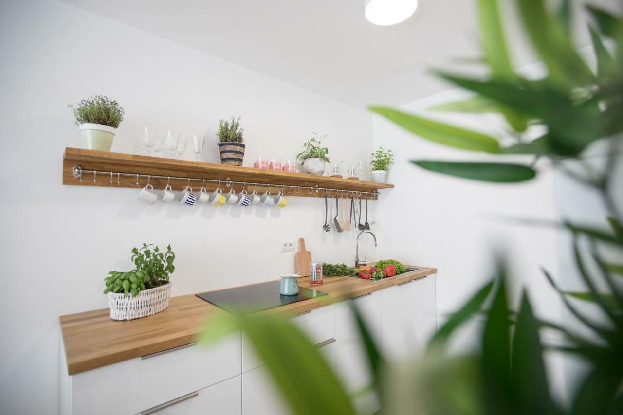 Family Apartment With Garden Lublana Zewnętrze zdjęcie